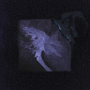 欧美HD色情仓库
